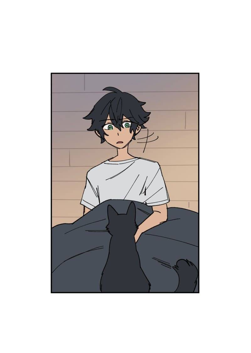 Lumine Chapter 109 - Trang 2