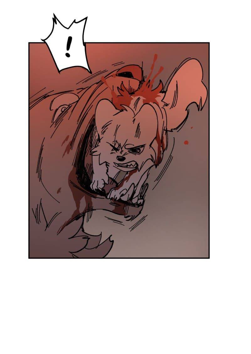 Lumine Chapter 110 - Trang 2