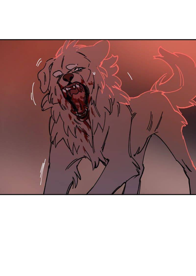 Lumine Chapter 110 - Trang 2