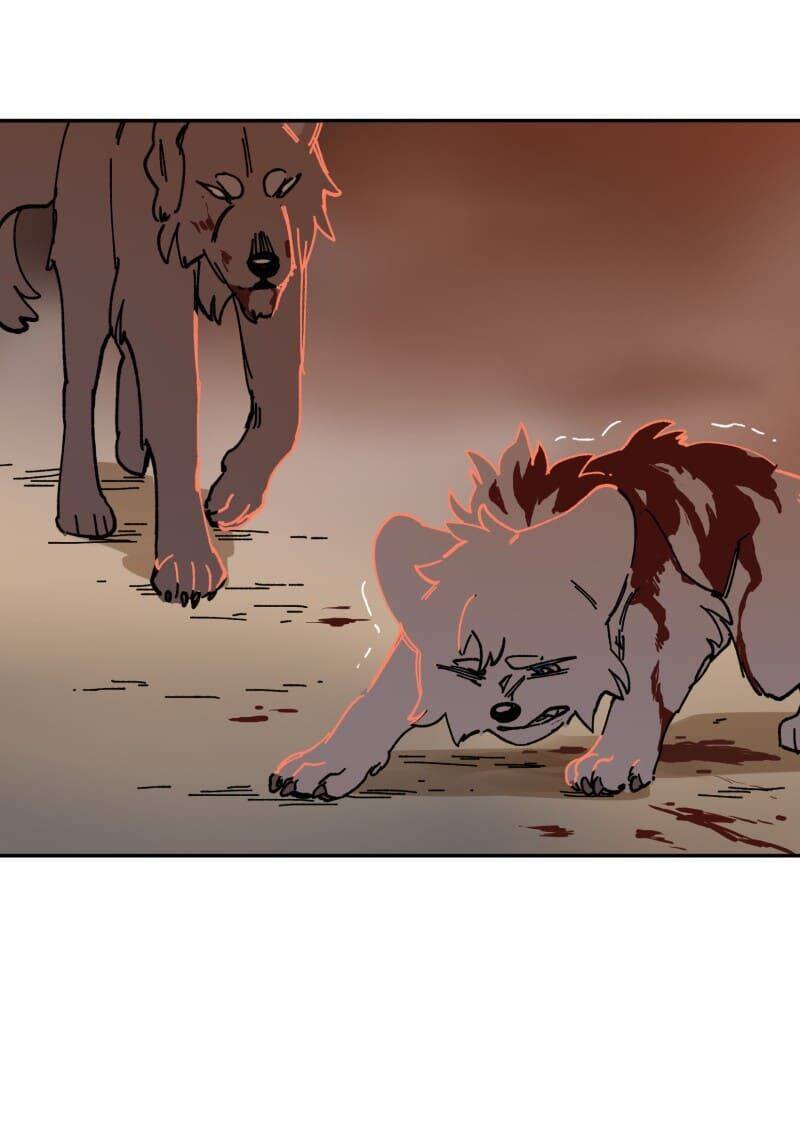 Lumine Chapter 110 - Trang 2