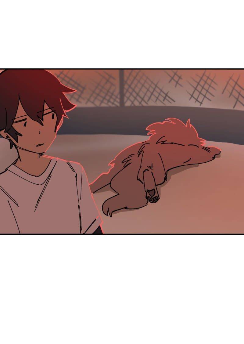 Lumine Chapter 110 - Trang 2