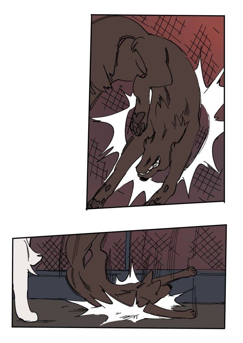 Lumine Chapter 112 - Trang 2