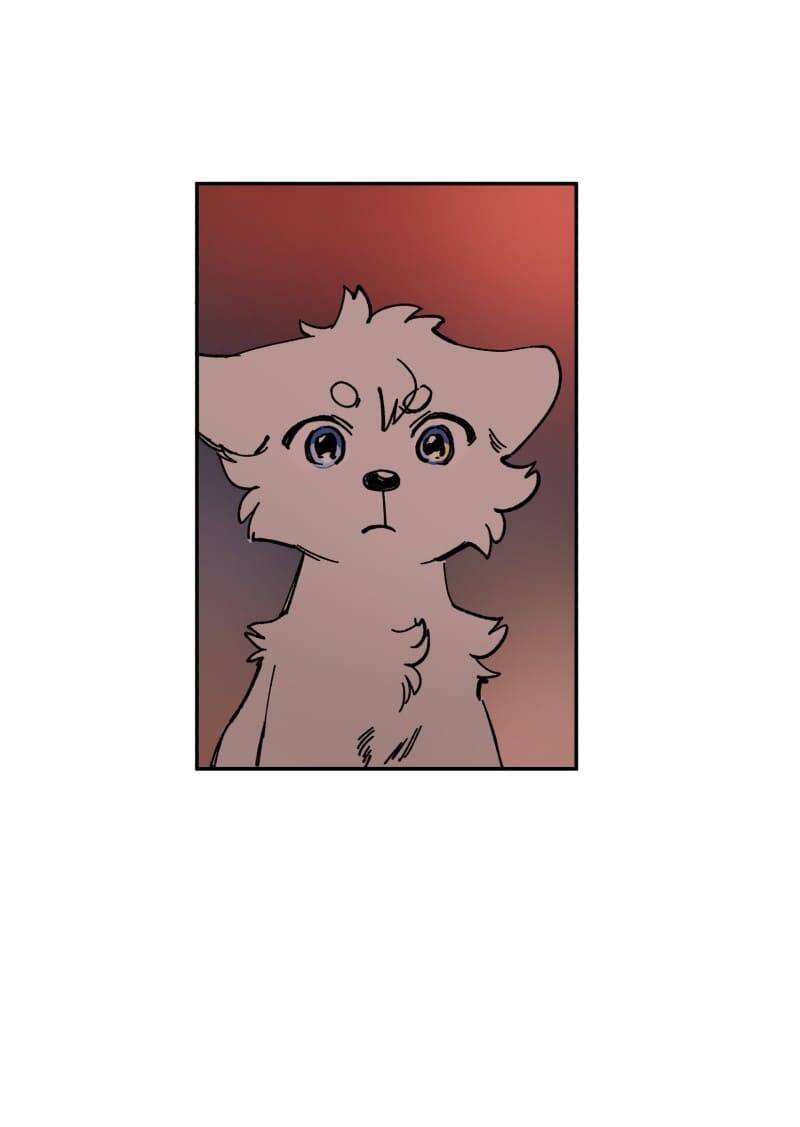 Lumine Chapter 113 - Trang 2