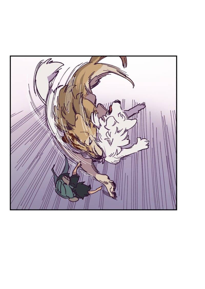 Lumine Chapter 115 - Trang 2