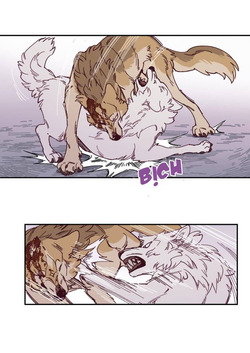 Lumine Chapter 115 - Trang 2