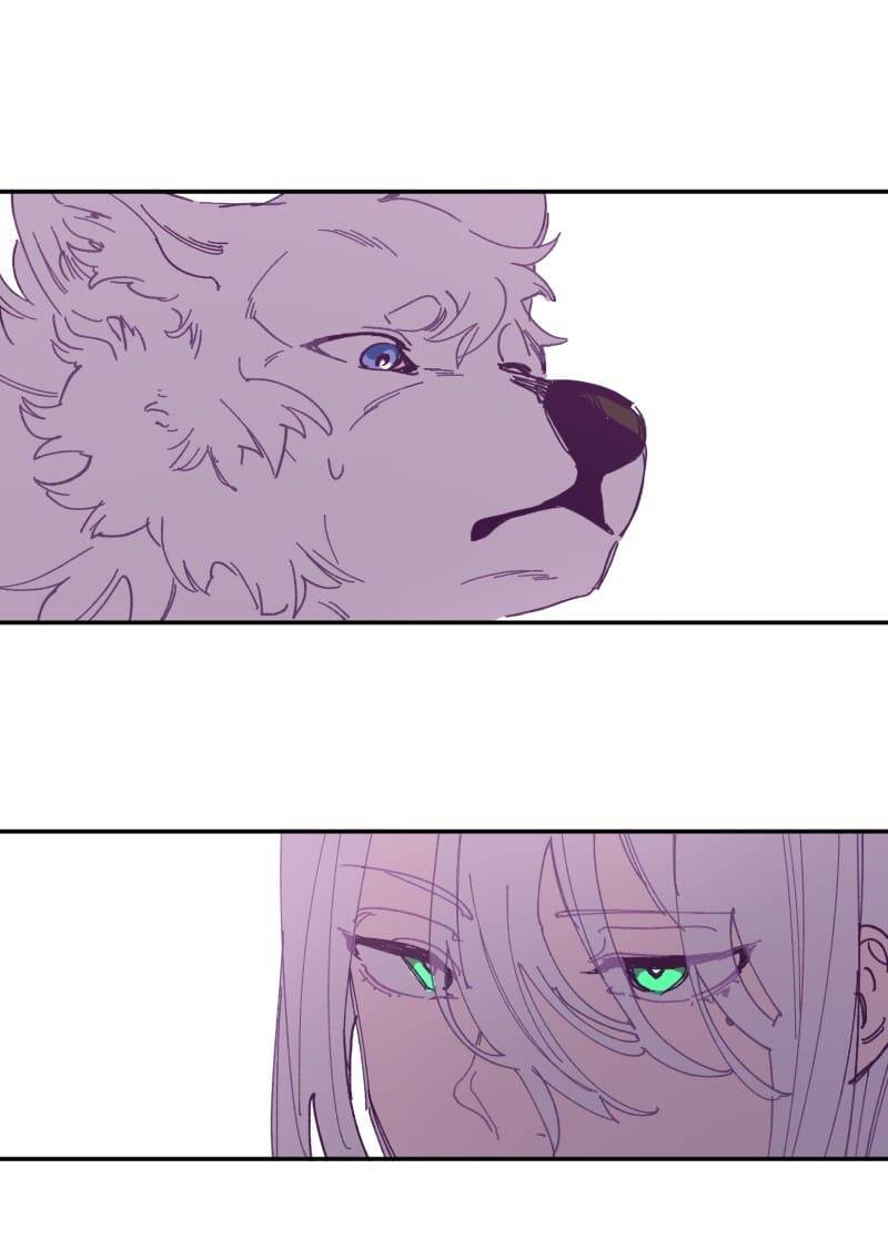 Lumine Chapter 116 - Trang 2