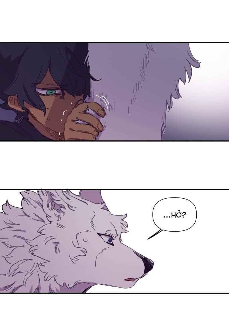 Lumine Chapter 116 - Trang 2