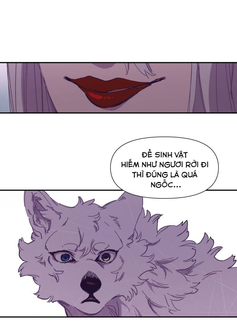 Lumine Chapter 116 - Trang 2