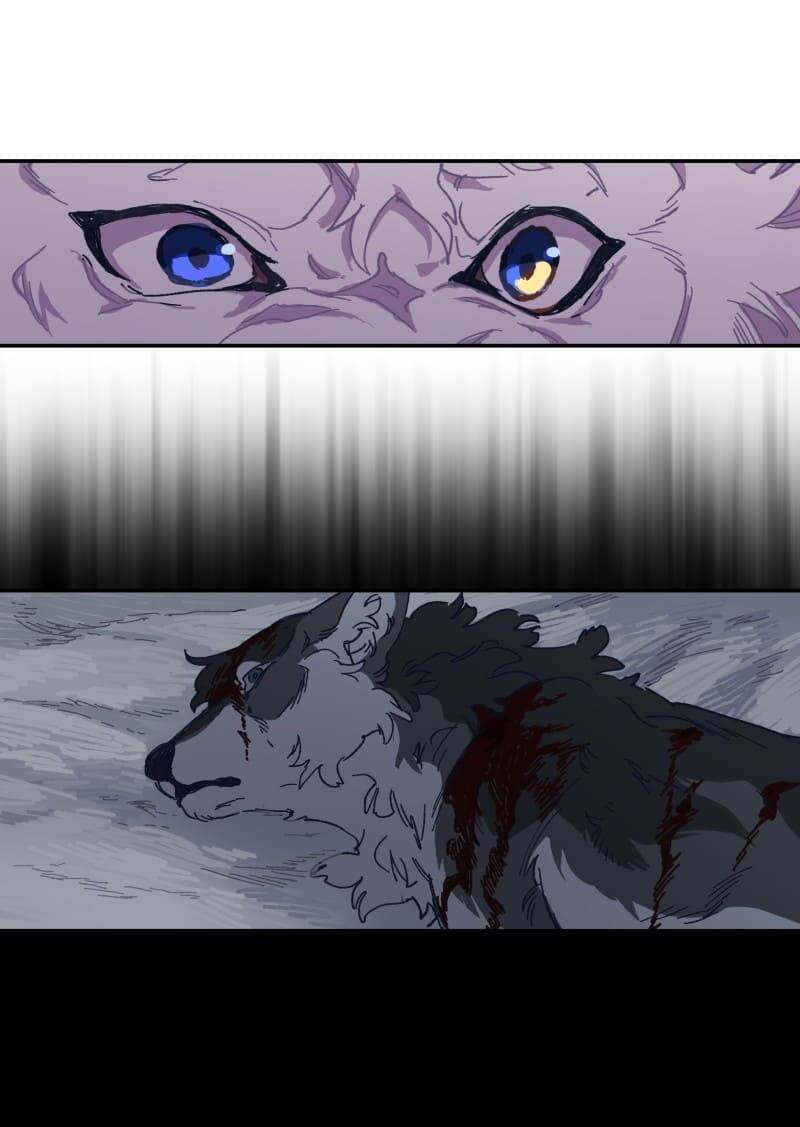 Lumine Chapter 116 - Trang 2