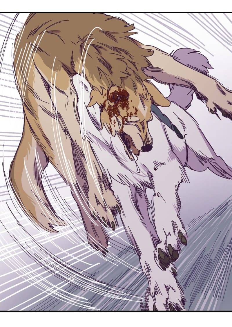 Lumine Chapter 116 - Trang 2