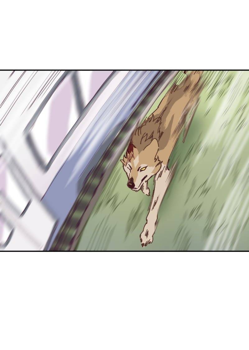 Lumine Chapter 118 - Trang 2