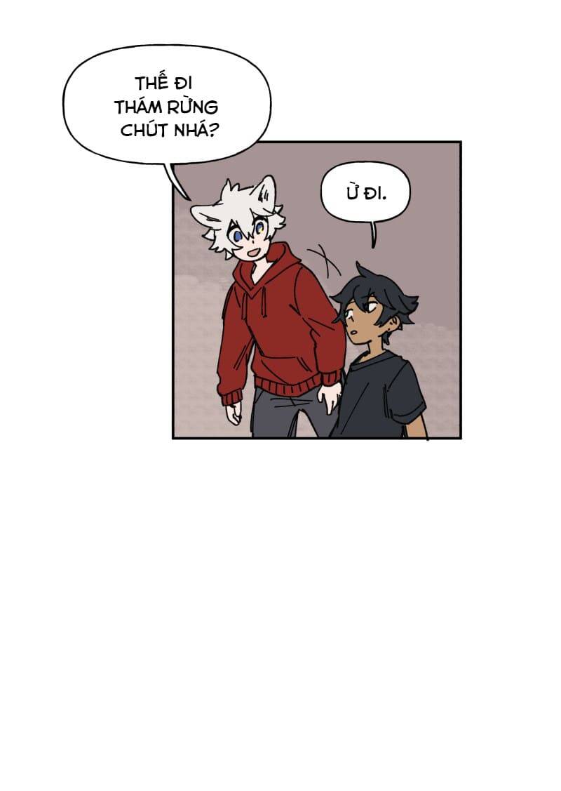 Lumine Chapter 126 - Trang 2