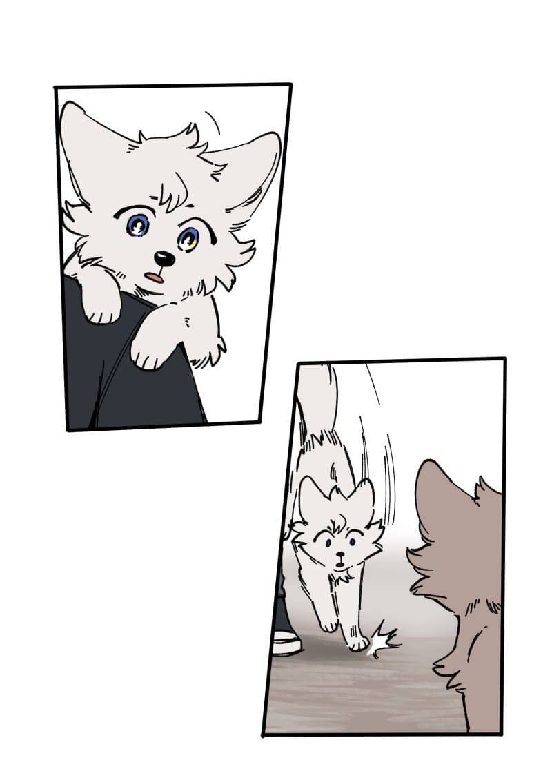 Lumine Chapter 128 - Trang 2