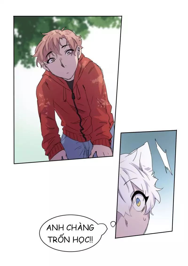 Lumine Chapter 13 - Trang 2