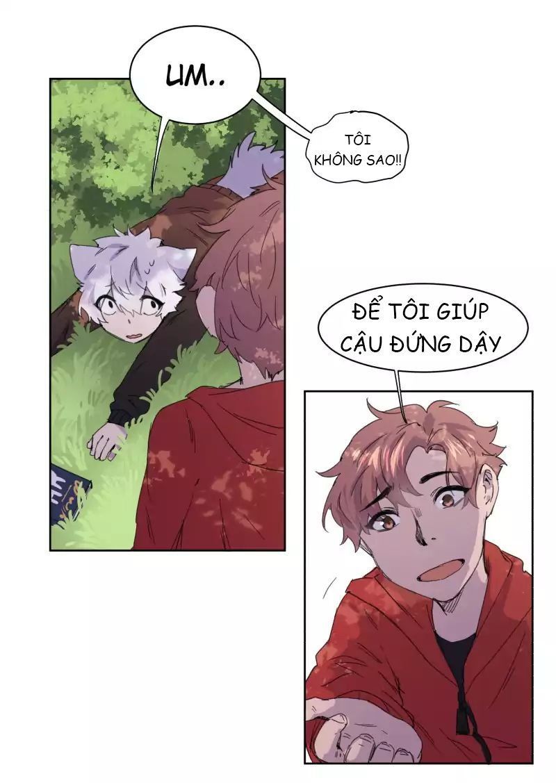 Lumine Chapter 13 - Trang 2