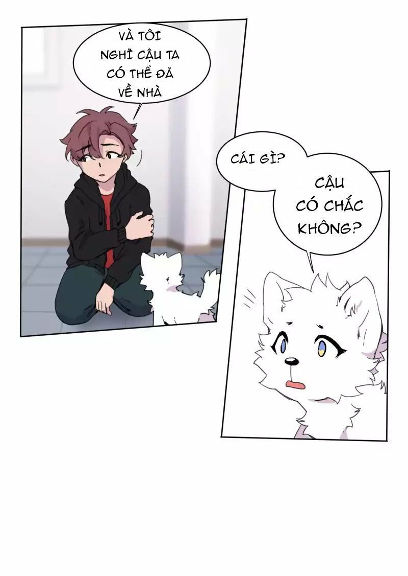 Lumine Chapter 22 - Trang 2