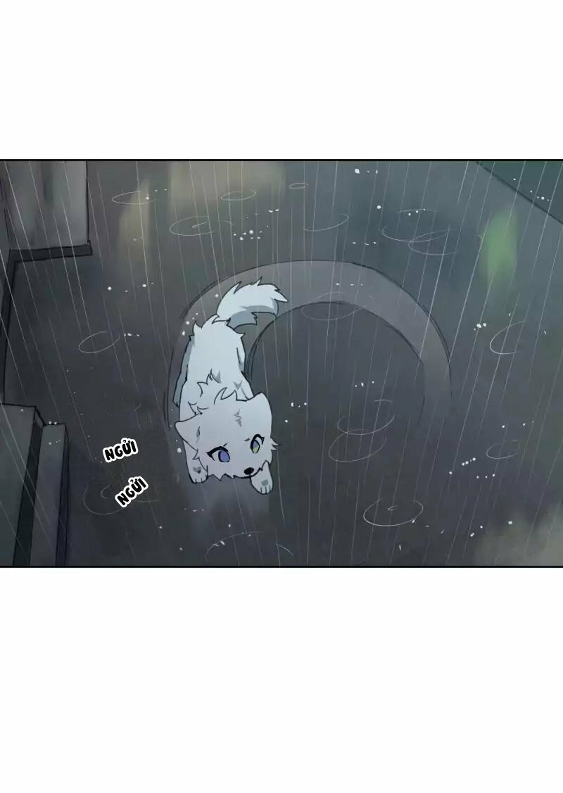 Lumine Chapter 23 - Trang 2