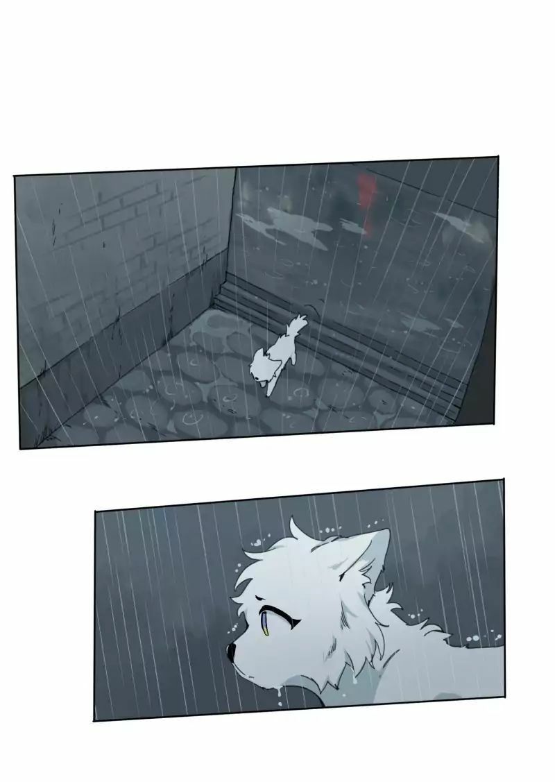 Lumine Chapter 23 - Trang 2