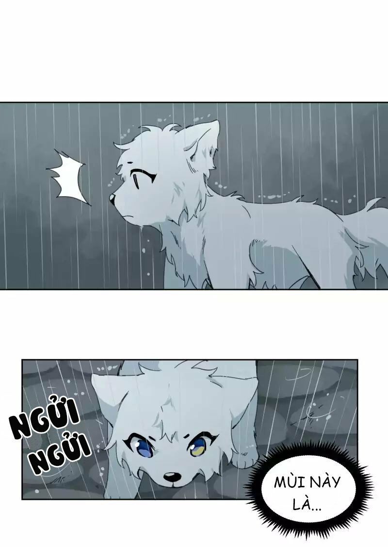 Lumine Chapter 23 - Trang 2