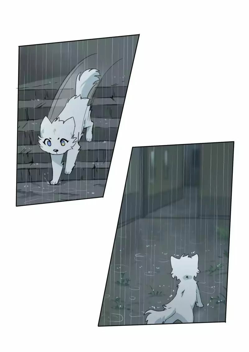 Lumine Chapter 23 - Trang 2