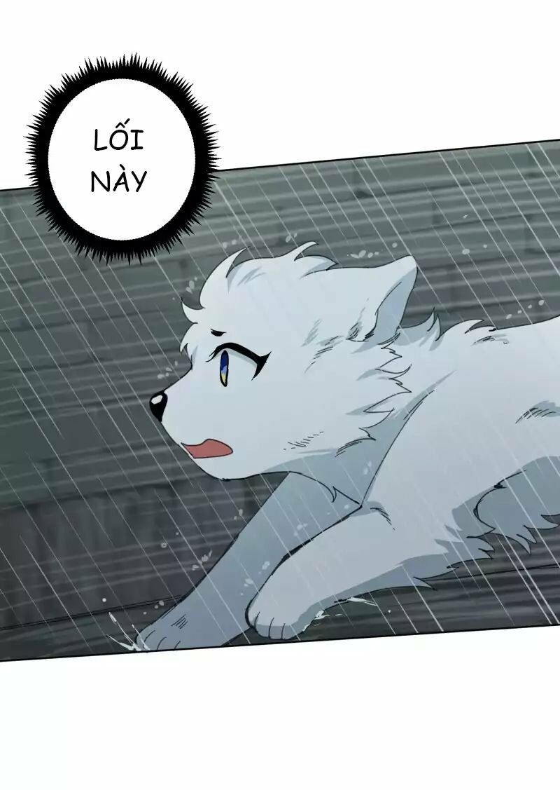 Lumine Chapter 23 - Trang 2