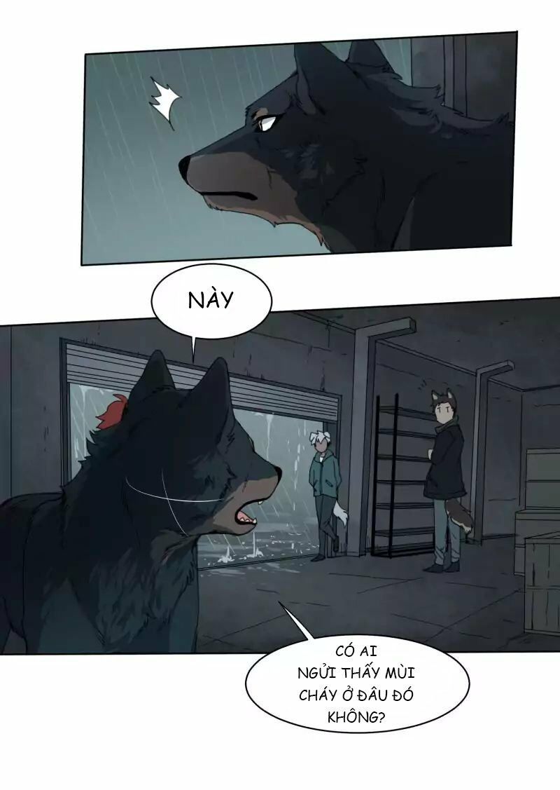 Lumine Chapter 24 - Trang 2