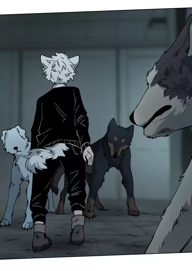 Lumine Chapter 25 - Trang 2