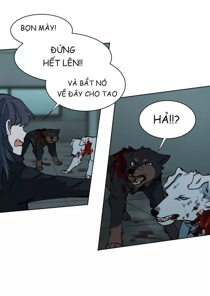 Lumine Chapter 27 - Trang 2