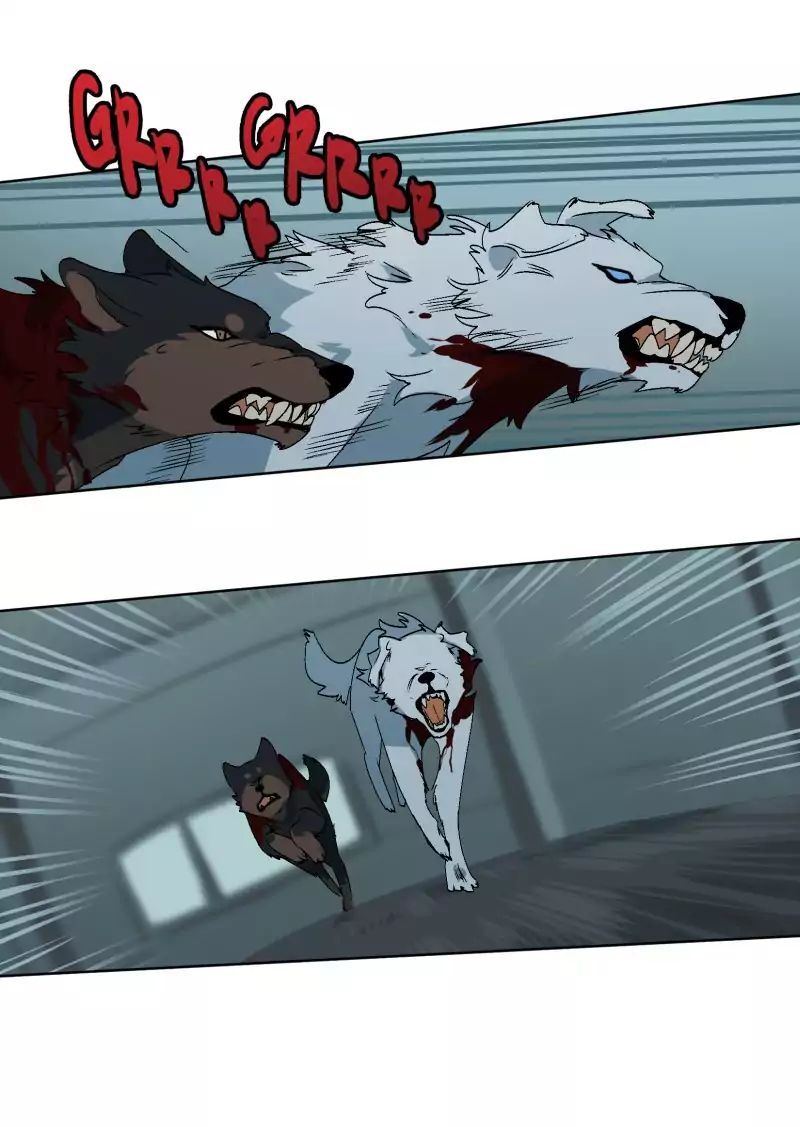 Lumine Chapter 28 - Trang 2