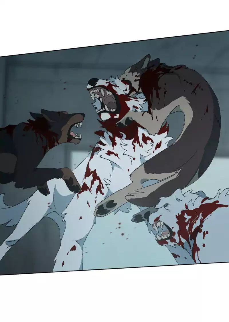 Lumine Chapter 28 - Trang 2