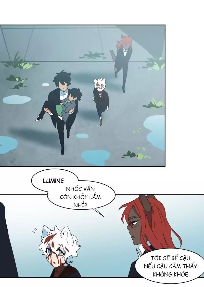 Lumine Chapter 29 - Trang 2