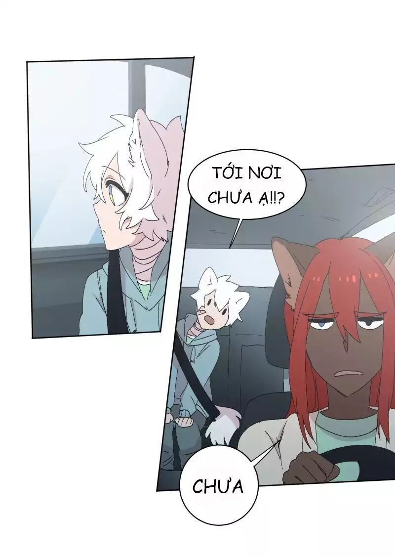 Lumine Chapter 30 - Trang 2