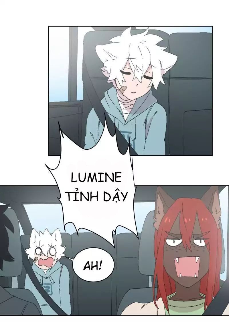 Lumine Chapter 30 - Trang 2