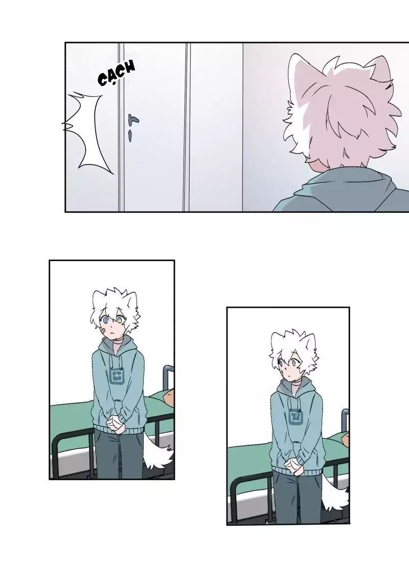 Lumine Chapter 30 - Trang 2