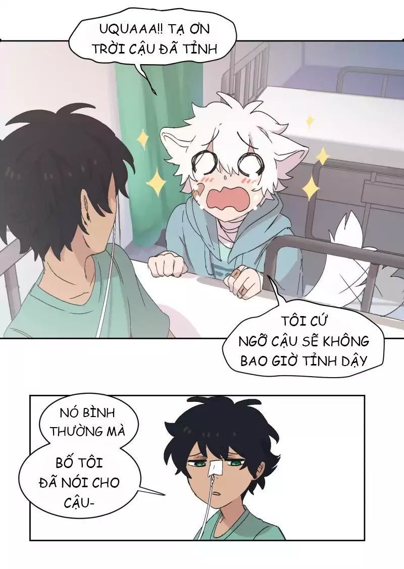 Lumine Chapter 31 - Trang 2