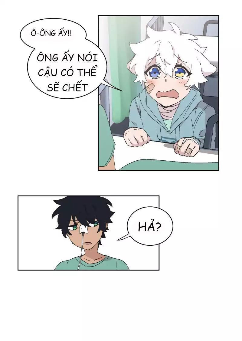 Lumine Chapter 31 - Trang 2