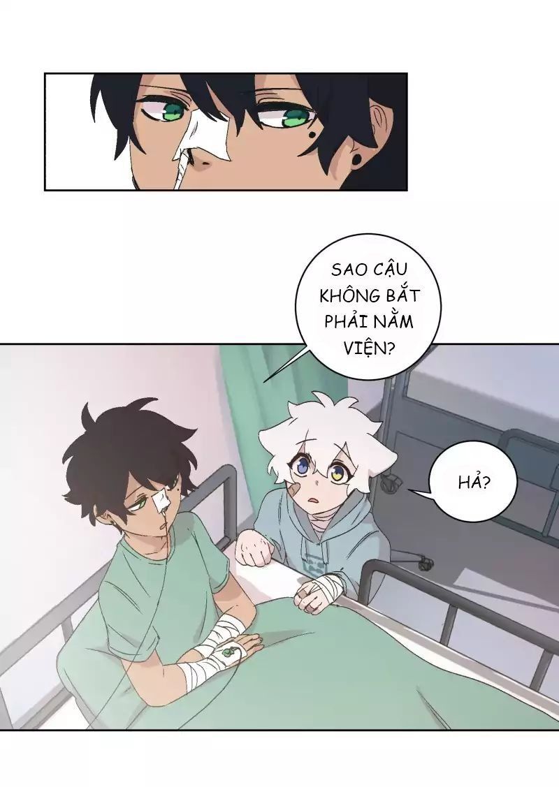 Lumine Chapter 31 - Trang 2