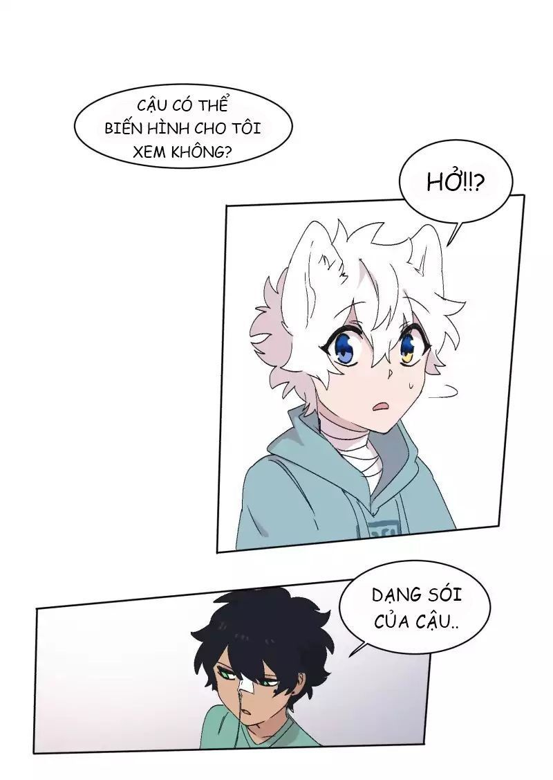 Lumine Chapter 31 - Trang 2