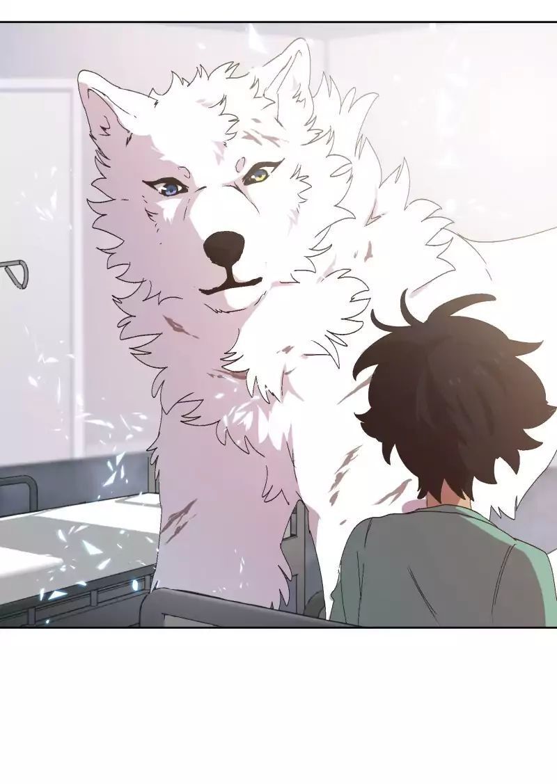 Lumine Chapter 31 - Trang 2