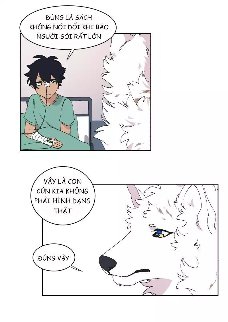 Lumine Chapter 31 - Trang 2