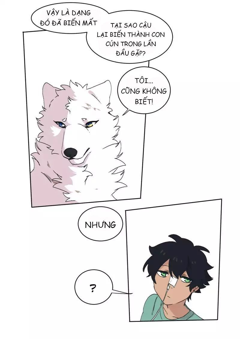 Lumine Chapter 31 - Trang 2