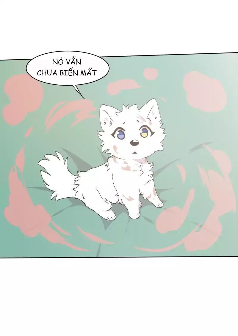 Lumine Chapter 31 - Trang 2