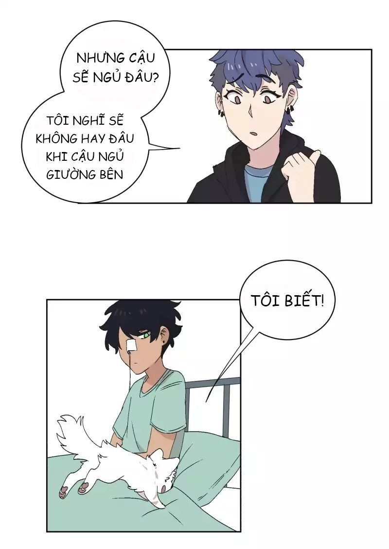 Lumine Chapter 32 - Trang 2