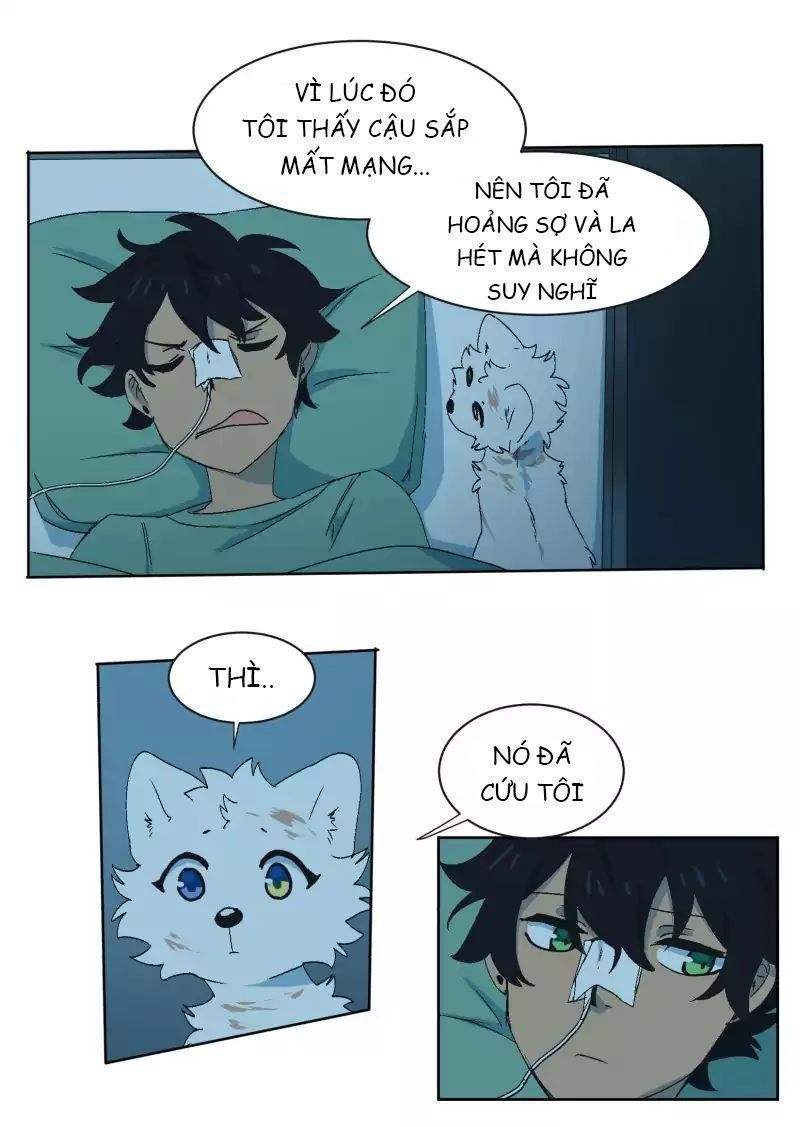 Lumine Chapter 33 - Trang 2