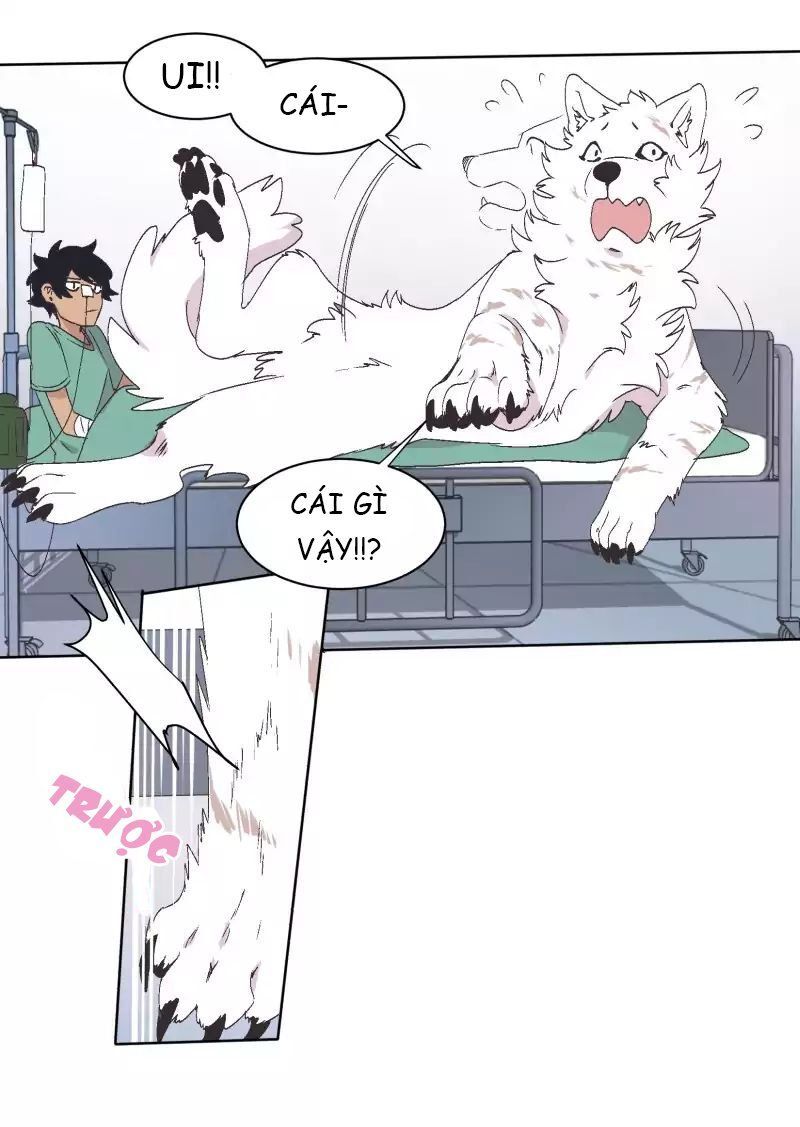 Lumine Chapter 33 - Trang 2