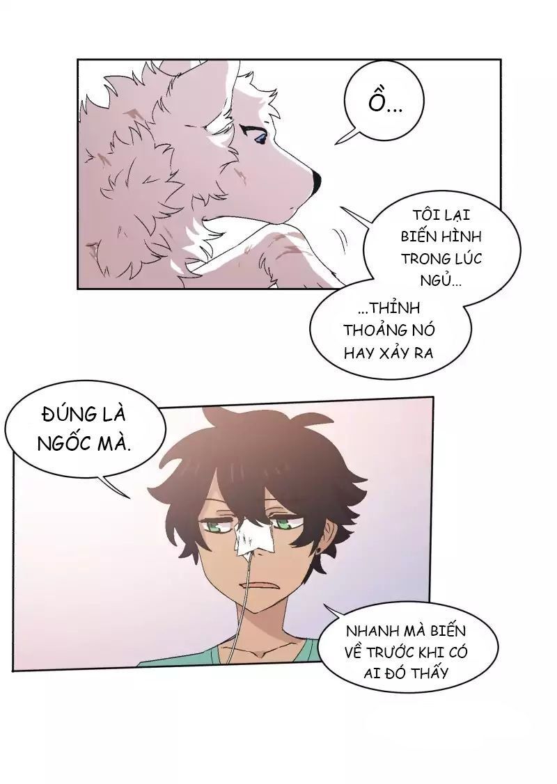 Lumine Chapter 33 - Trang 2