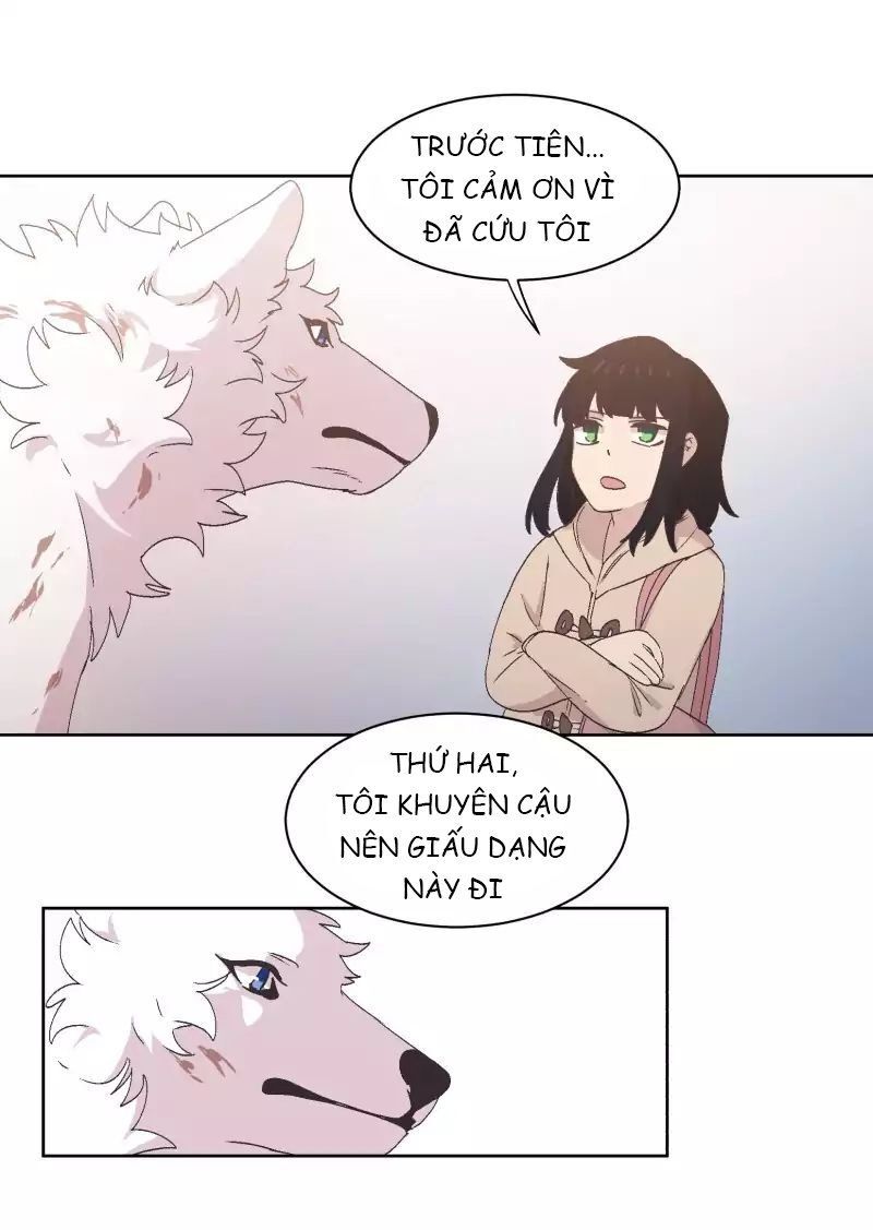 Lumine Chapter 34 - Trang 2