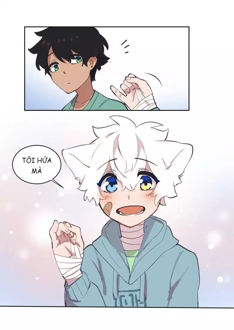 Lumine Chapter 39 - Trang 2