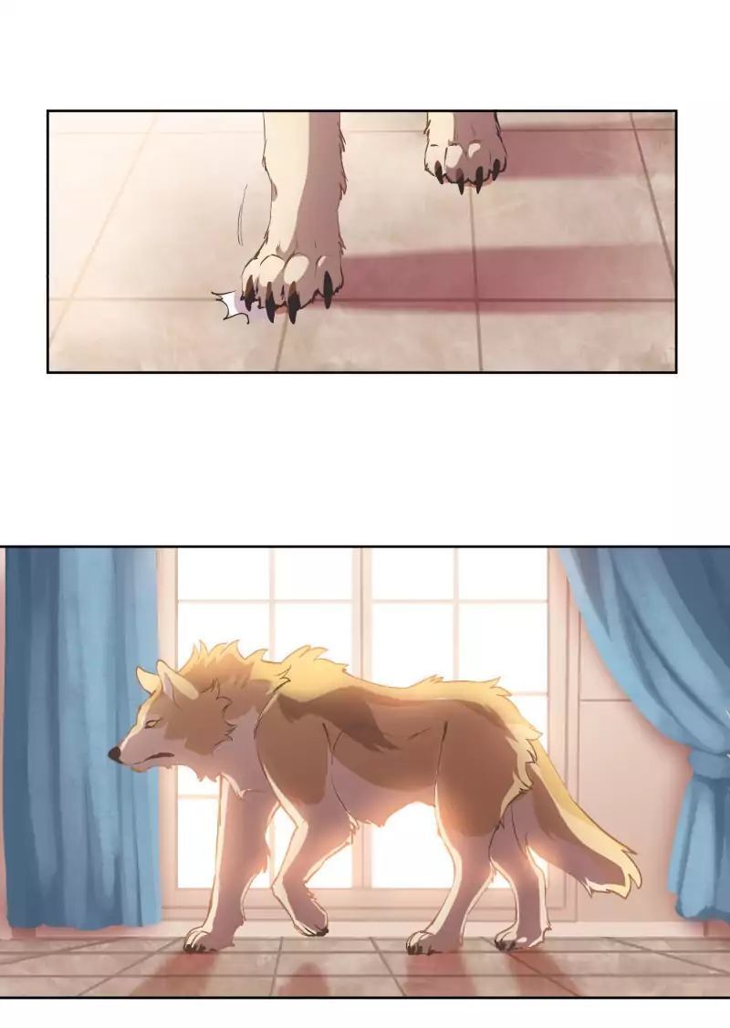 Lumine Chapter 41 - Trang 2