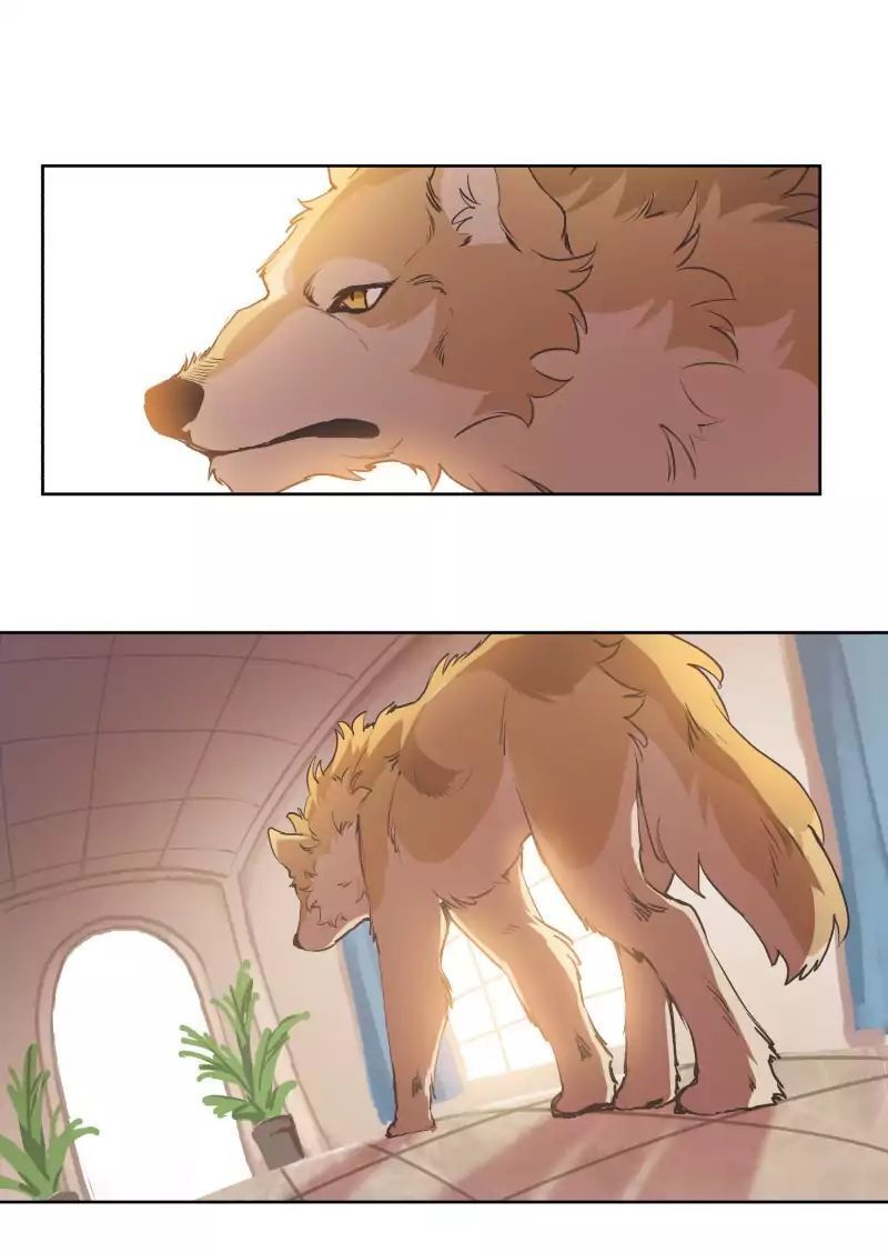 Lumine Chapter 41 - Trang 2